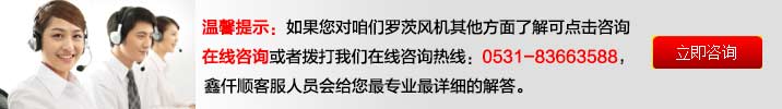 罗茨91手机看片福利厂家沟通客服 气力输送罗茨鼓91手机看片福利(图11)