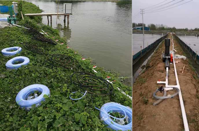 水产养殖供氧曝气罗茨91手机看片福利