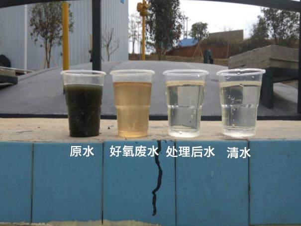 污水曝气罗茨鼓91手机看片福利应用案例 污水曝气罗茨鼓91手机看片福利应用案例