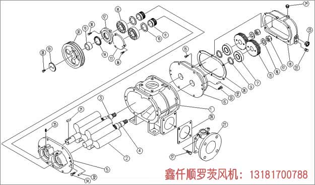 罗茨91手机看片福利工作组成部件