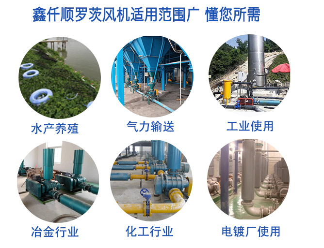 高压罗茨91手机看片福利(图5)