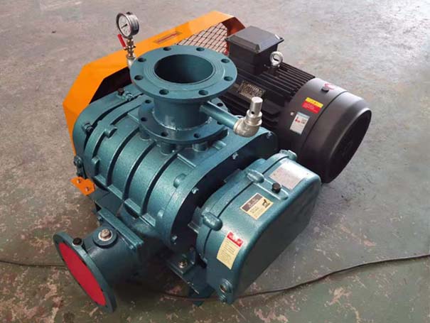 罗茨真空泵 罗茨91手机看片福利厂家发货江西罗茨真空泵XQSSR125v5台(图1)