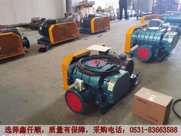 发货广西高压罗茨鼓91手机看片福利XQSSR15030KW6台(图1)