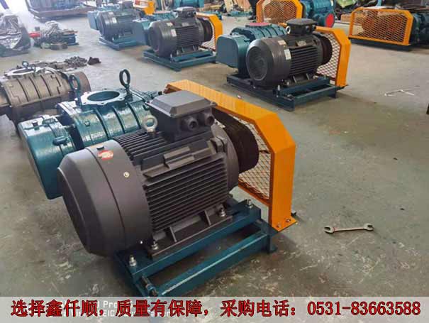 发货广西高压罗茨鼓91手机看片福利XQSSR15030KW6台(图2)
